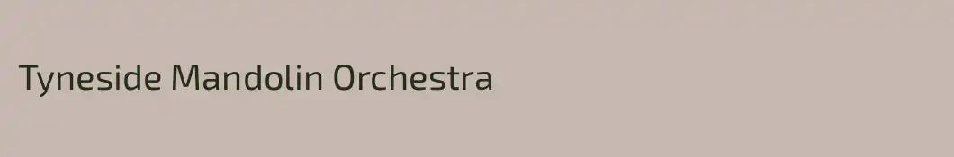 Tyneside Mandolin Orchestra 
